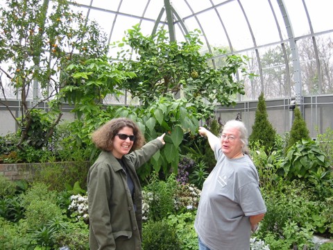 Me and Susan at the conservatory