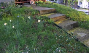 pollen everywhere!