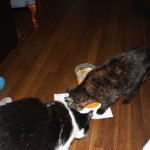 Treats_for_Kit_01
