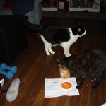 Treats_for_Kit_03