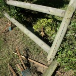 16_Aug_2010_003