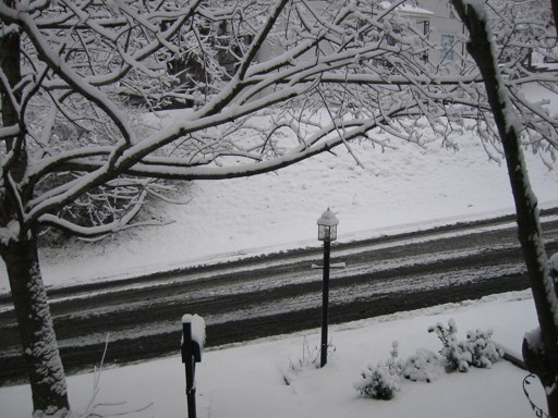 Front Porch View